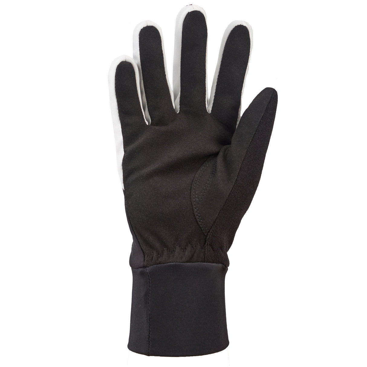 Silvini unisex winter gloves UA1543 Montasio